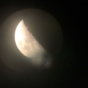 Meet your Posher, Blane